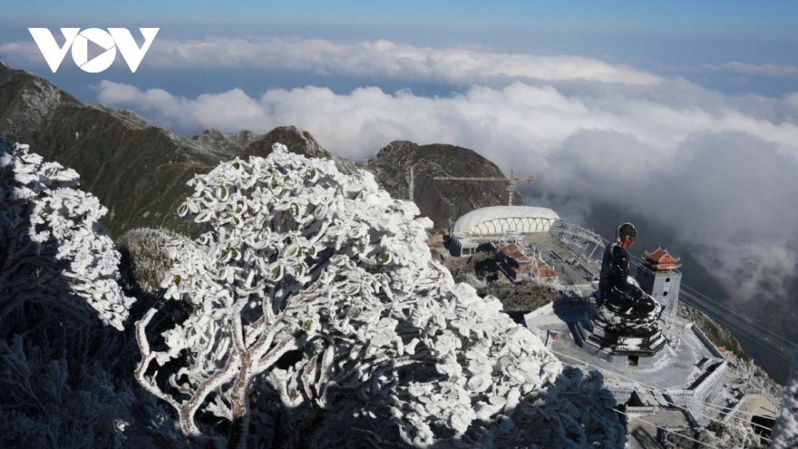 Cold spell intensifies, frost and rain expected